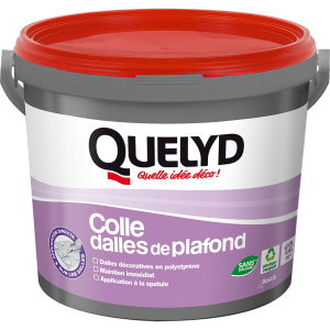 Colle pour Moulures Plâtre